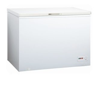 Freezer Horizontal 300LTRS WW